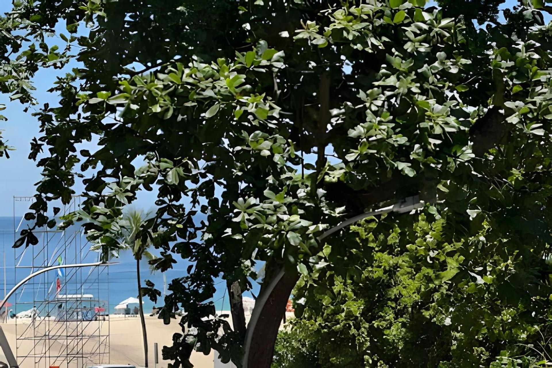 리오데자네이루 Pe Na Areia 아파트 외부 사진